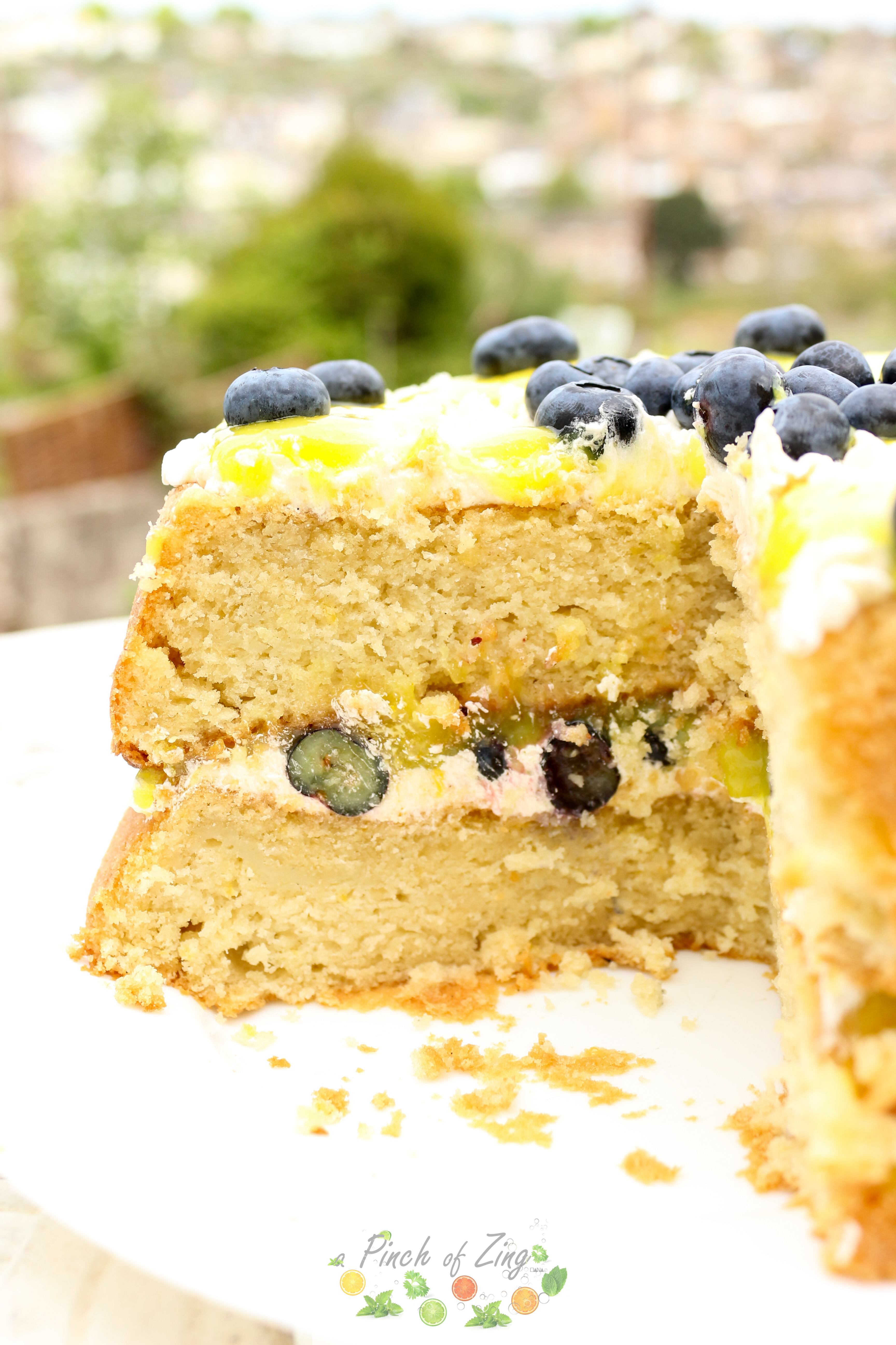 Vegan Lemon and Blueberry cake
